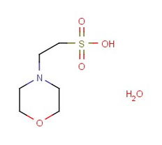 2-吗啉乙磺酸一水合物在药用辅料中的应用与特性分析